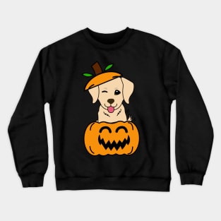 Funny golden retriever is in a pumpkin Crewneck Sweatshirt